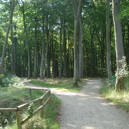 Fuerstenhof - Ferienwohnung Strandlaeufer * Graal-Mueritz