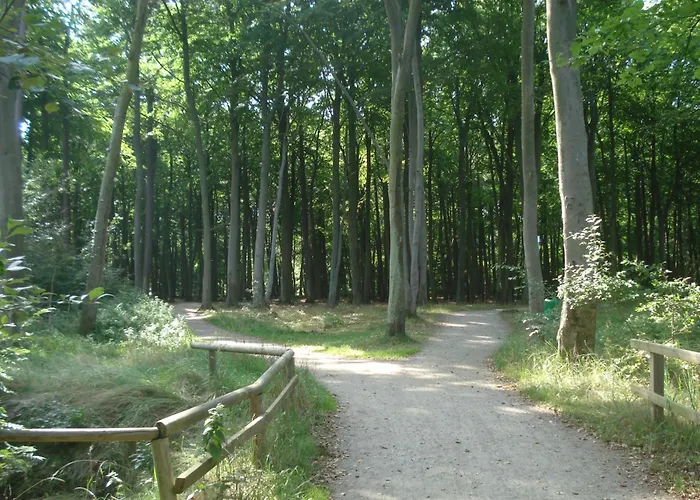 Fuerstenhof - Ferienwohnung Strandlaeufer * 그랄뮈리츠